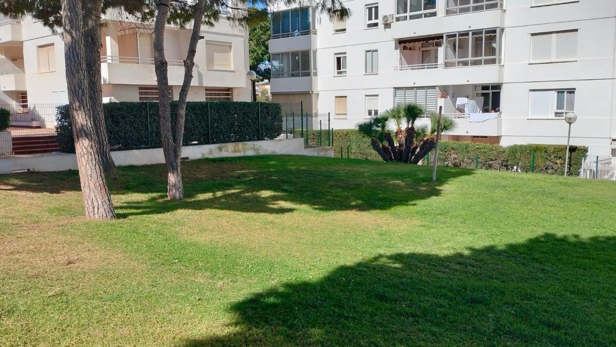 Bahia Alicante Apartment